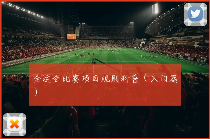 全运会比赛项目规则科普（入门篇）